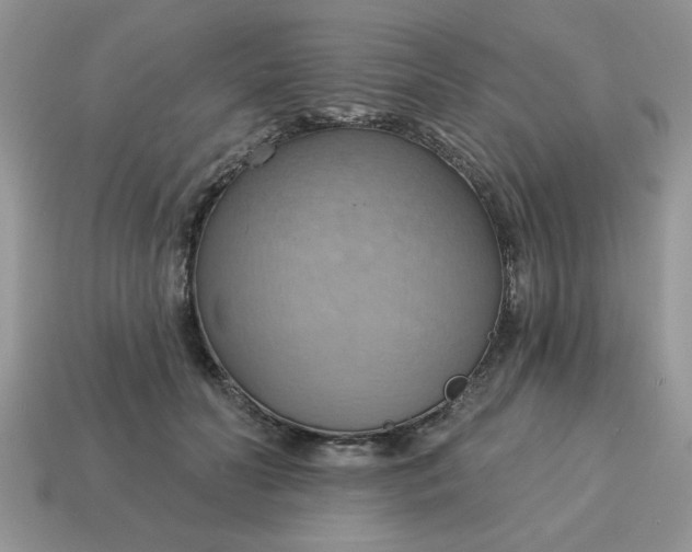 X0000115030606200911091344