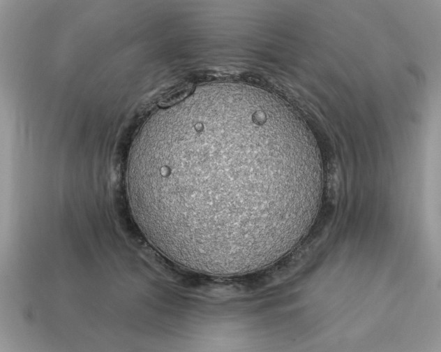 X0000115030608200911091344