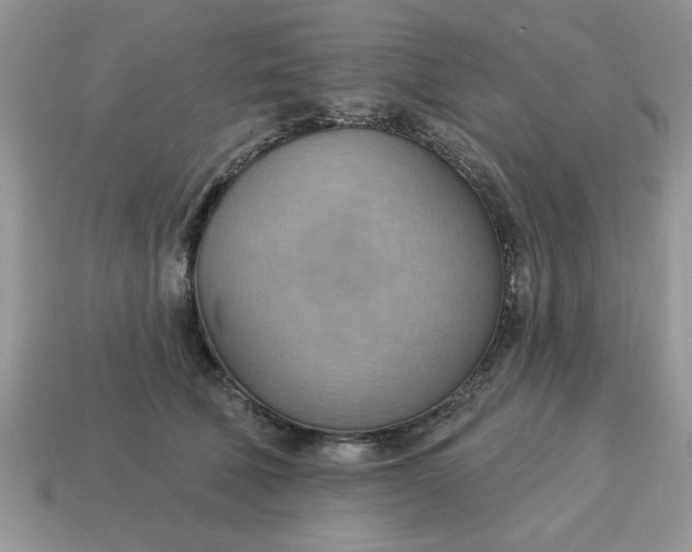 X0000115030610200911091344