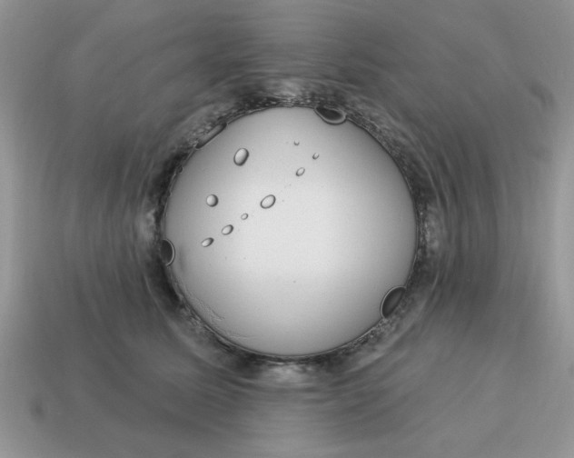 X0000115030611200911091344