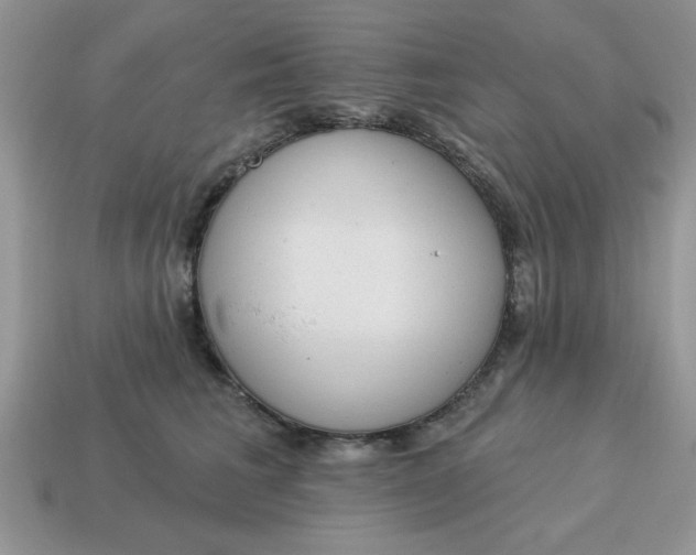 X0000115030613200911091344