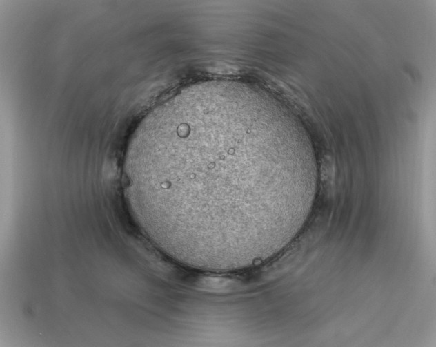 X0000115030614200911091344