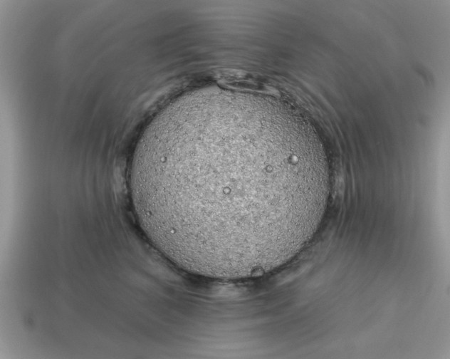 X0000115030616200911091344