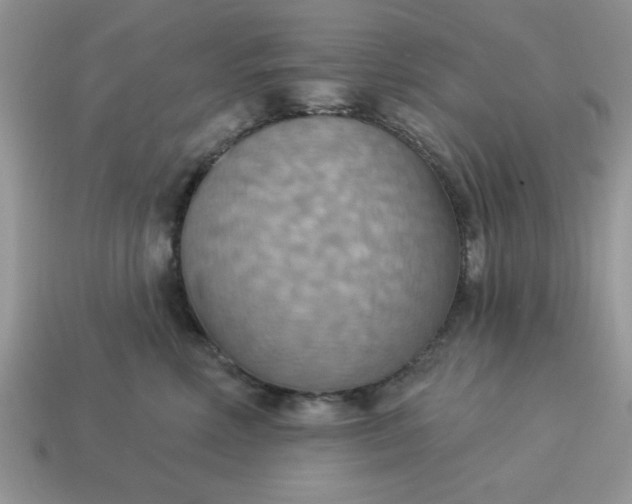 X0000115030618200911091344