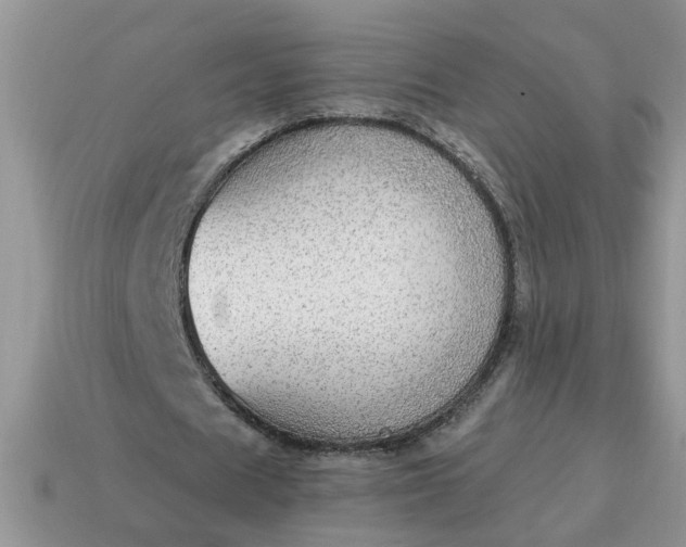 X0000115030625200911091343