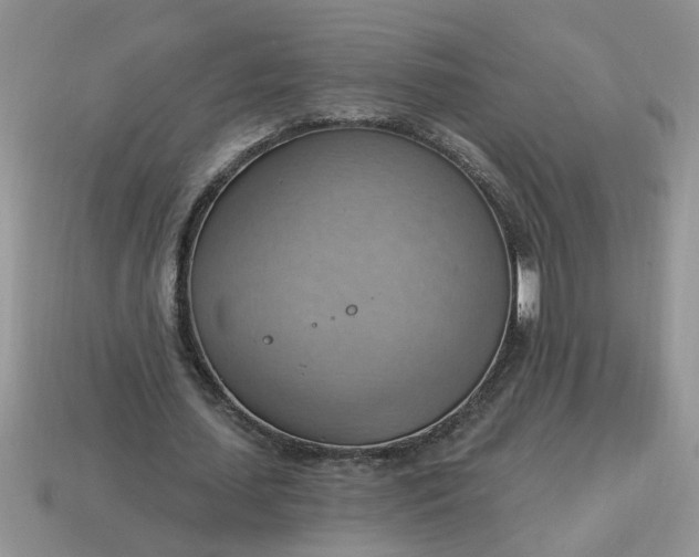 X0000115030627200911091343