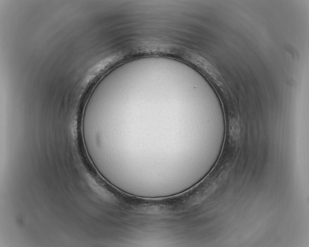 X0000115030629200911091343