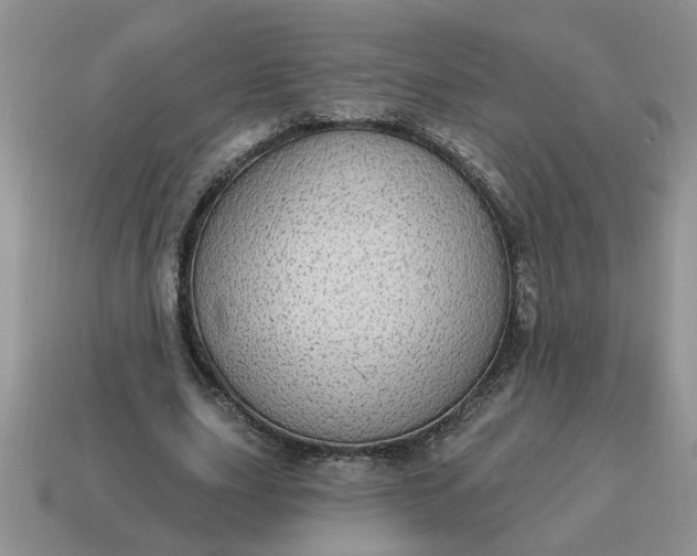 X0000115030631200911091343