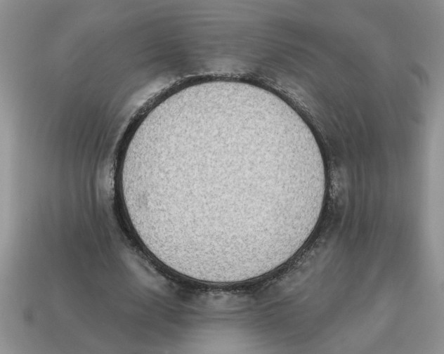 X0000115030632200911091343