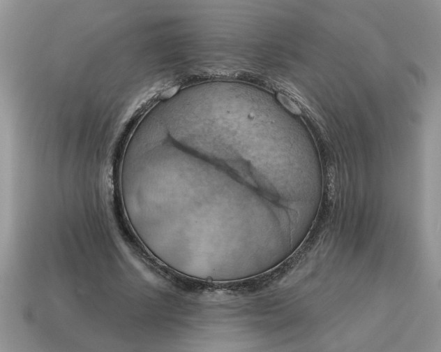 X0000115030634200911091343