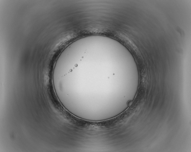 X0000115030635200911091343