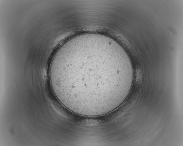 X0000115030636200911091343