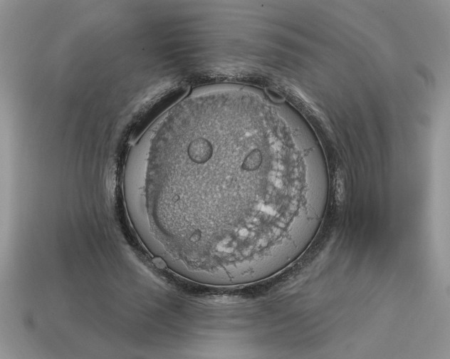 X0000115030637200911091343