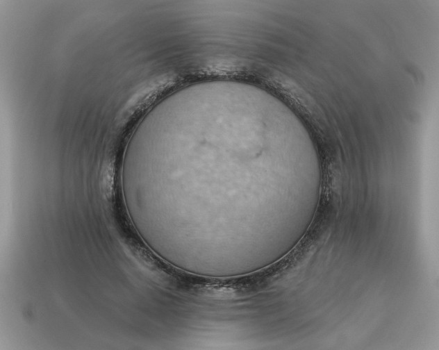 X0000115030640200911091343