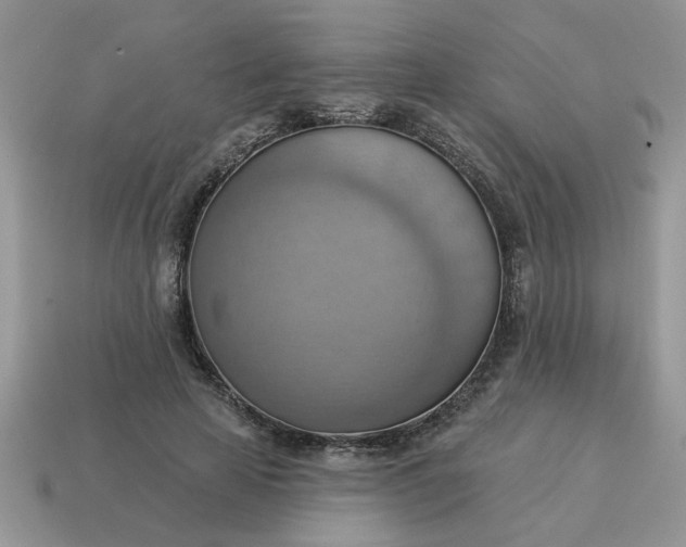 X0000115030641200911091343