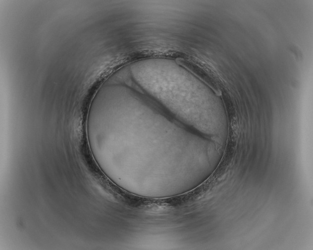X0000115030642200911091343