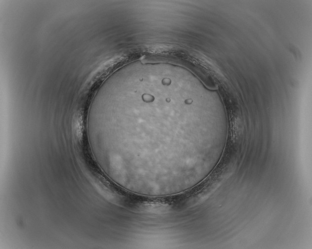 X0000115030644200911091343