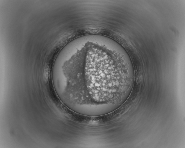 X0000115030647200911091343