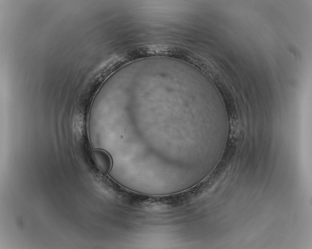 X0000115030648200911091343