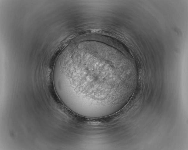 X0000115030650200911091344
