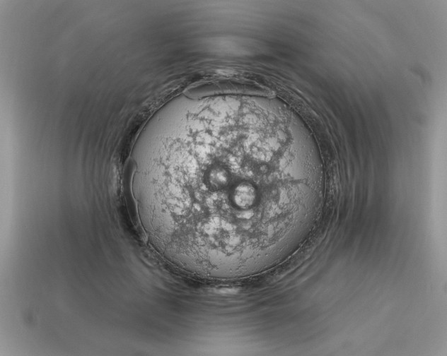X0000115030651200911091344