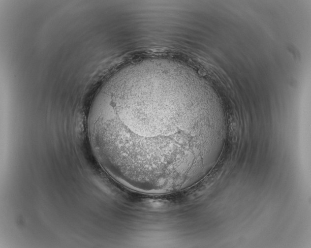 X0000115030654200911091344
