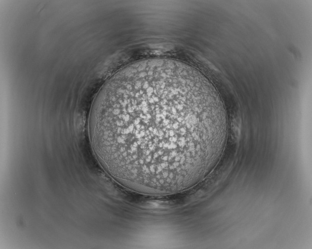 X0000115030657200911091344