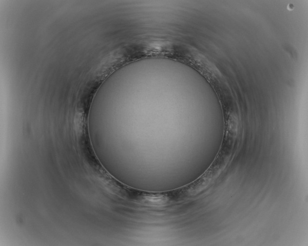 X0000115030659200911091344