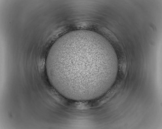 X0000115030660200911091344