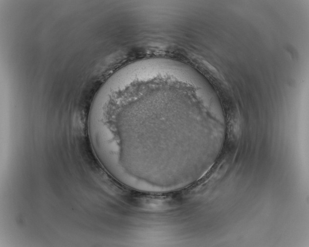 X0000115030661200911091344