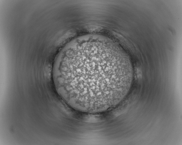 X0000115030664200911091344