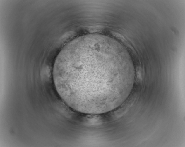 X0000115030667200911091344