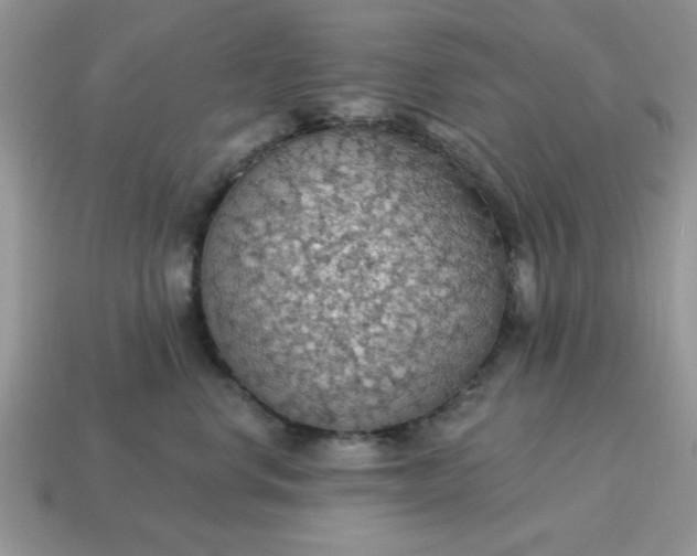X0000115030668200911091344