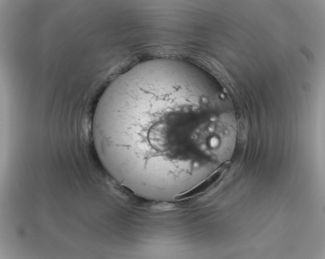 X0000115030669200911091344