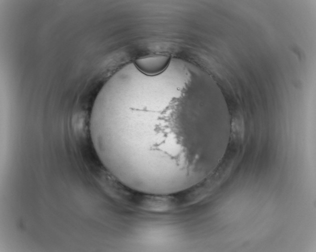 X0000115030671200911091344