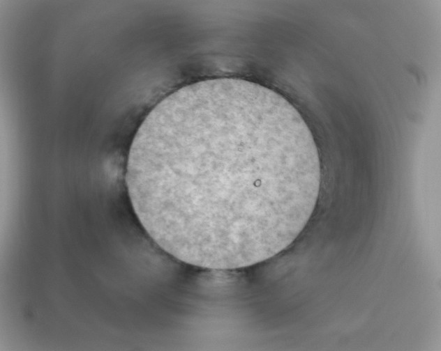 X0000115030672200911091344