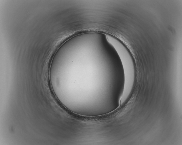 X0000115030673200911091343