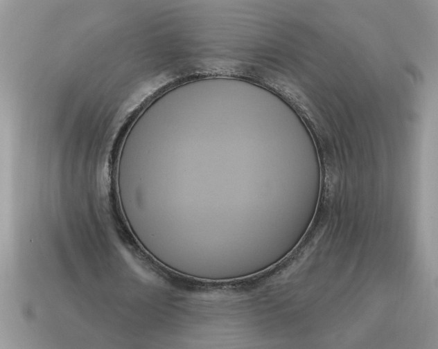 X0000115030674200911091343