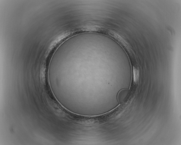 X0000115030675200911091343