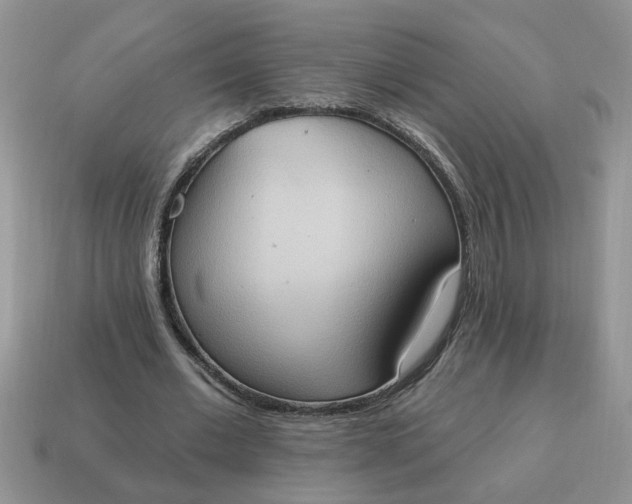 X0000115030677200911091343