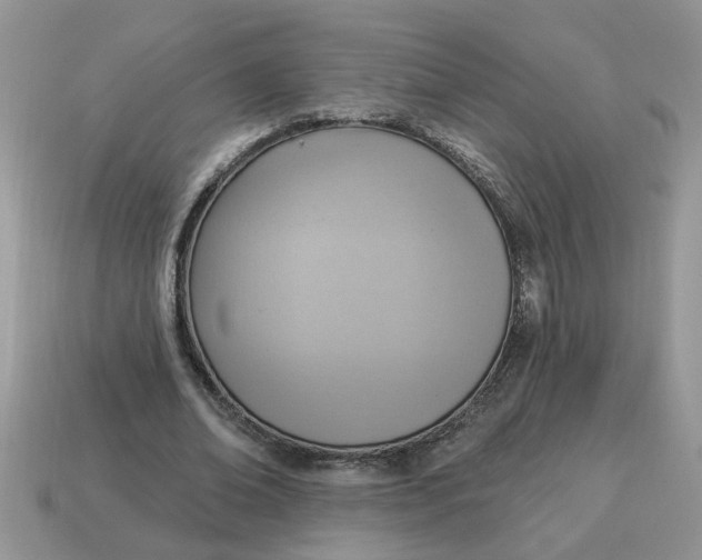 X0000115030678200911091343