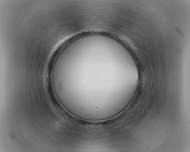 X0000115030680200911091343