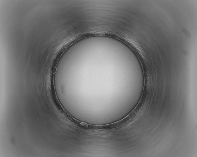 X0000115030681200911091343