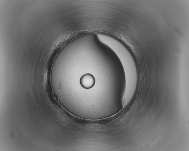 X0000115030685200911091343