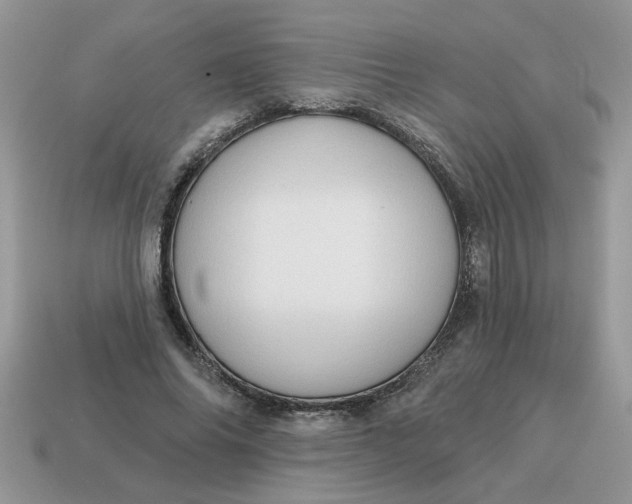 X0000115030686200911091343