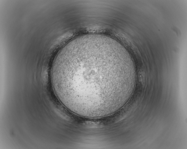 X0000115030690200911091343