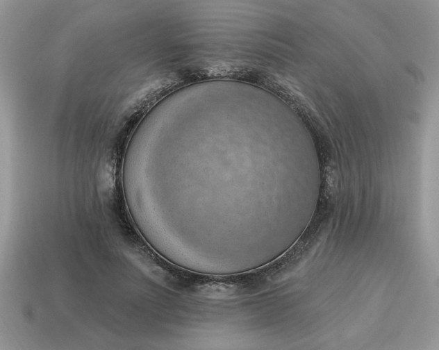 X0000115030691200911091343