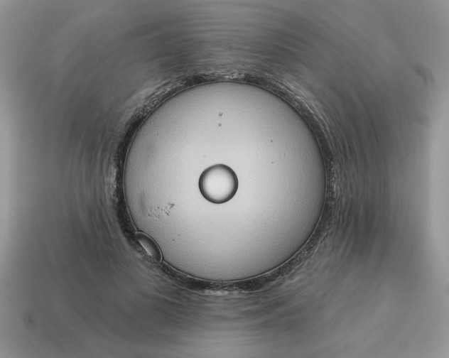 X0000115030693200911091343