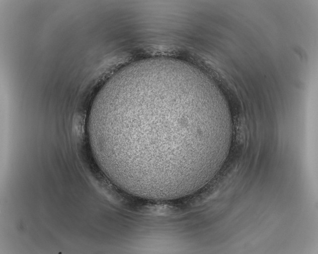X0000115030695200911091343