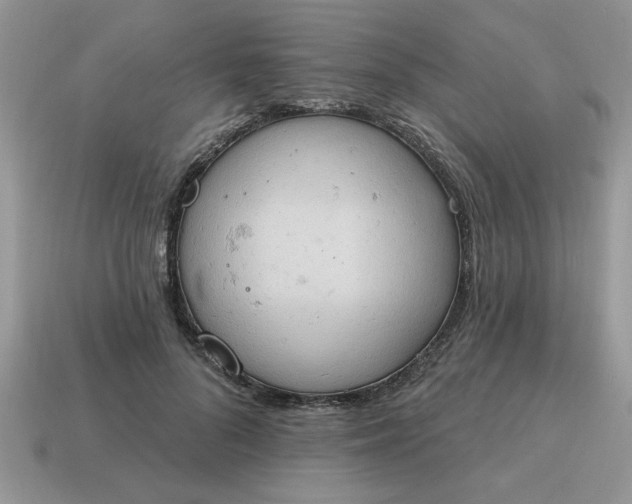 X0000115030696200911091343